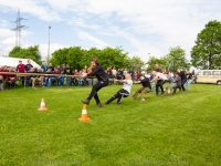 hobbytauziehen-0016
