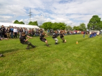 hobbytauziehen-0041