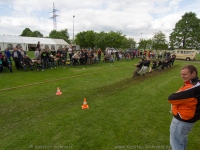 hobbytauziehen-0075