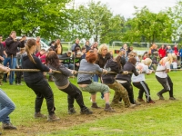 hobbytauziehen-0090