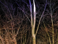 ks_img_0016