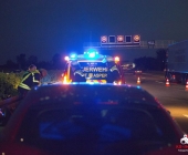 20140306_PKW Brand A81 Pleidelheim Mundelsheim015