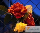 110718_rosenkerzenunfallstelleditzingen_7a-0020
