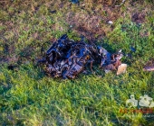 Sportwagen Fahrer überholt und Crasht in Familienfahrzeug - Beide Fahrer sterben - Mutter und Kind Schwerverletzt in Klinik - Motorblock rausgerissen