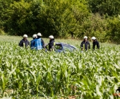unfall-k1673-poppenweiler-bittenfeld-30-06-2013_0015