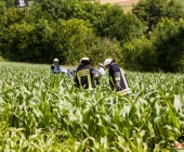unfall-k1673-poppenweiler-bittenfeld-30-06-2013_0039