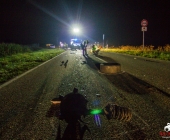 verkehrsunfall-bietigheim-l1107-21-09-2013_-0014