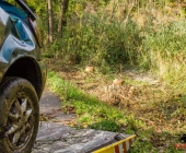 verkehrsunfall-steinheim-kleinbottwar-11-10-2013_-0012