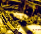 STUTTGART: Auf der Abfahrt von der B10 zur Otto-Hirsch-Brücken kam es am Mittwoch Abend zu einem Verkehrsunfall zwischen 2 PKW. Ein PKW wurde bei dem Unfall gegen einen Laternenmast gedrückt und ist in Flammen aufgegangen.Der ausgebrannte PKW kam aus Richtung B10 und krachte in einen entgegenkommenden PKW der gerade nach rechts abbiegen wollte.Verletzt wurden 3 Personen.