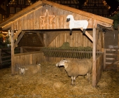 weihnachtswelt-0014