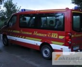 wespen-0002