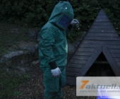 wespen-0007