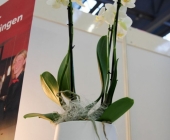 wir_heiraten-0069