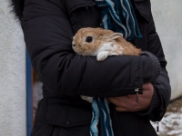 hasenrettung-0031