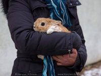 hasenrettung-0032